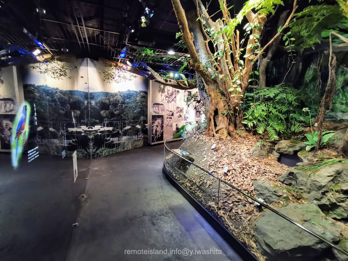 10奄美の郷.jpg 10奄美の郷