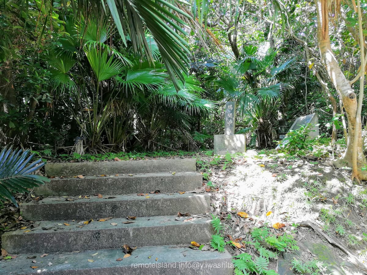 03鳩間中森.jpg 03鳩間中森