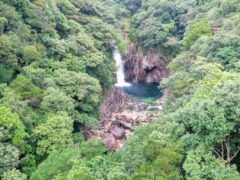 千尋の滝の手前にある竜神の滝 橋から見ても綺麗な滝【屋久島】