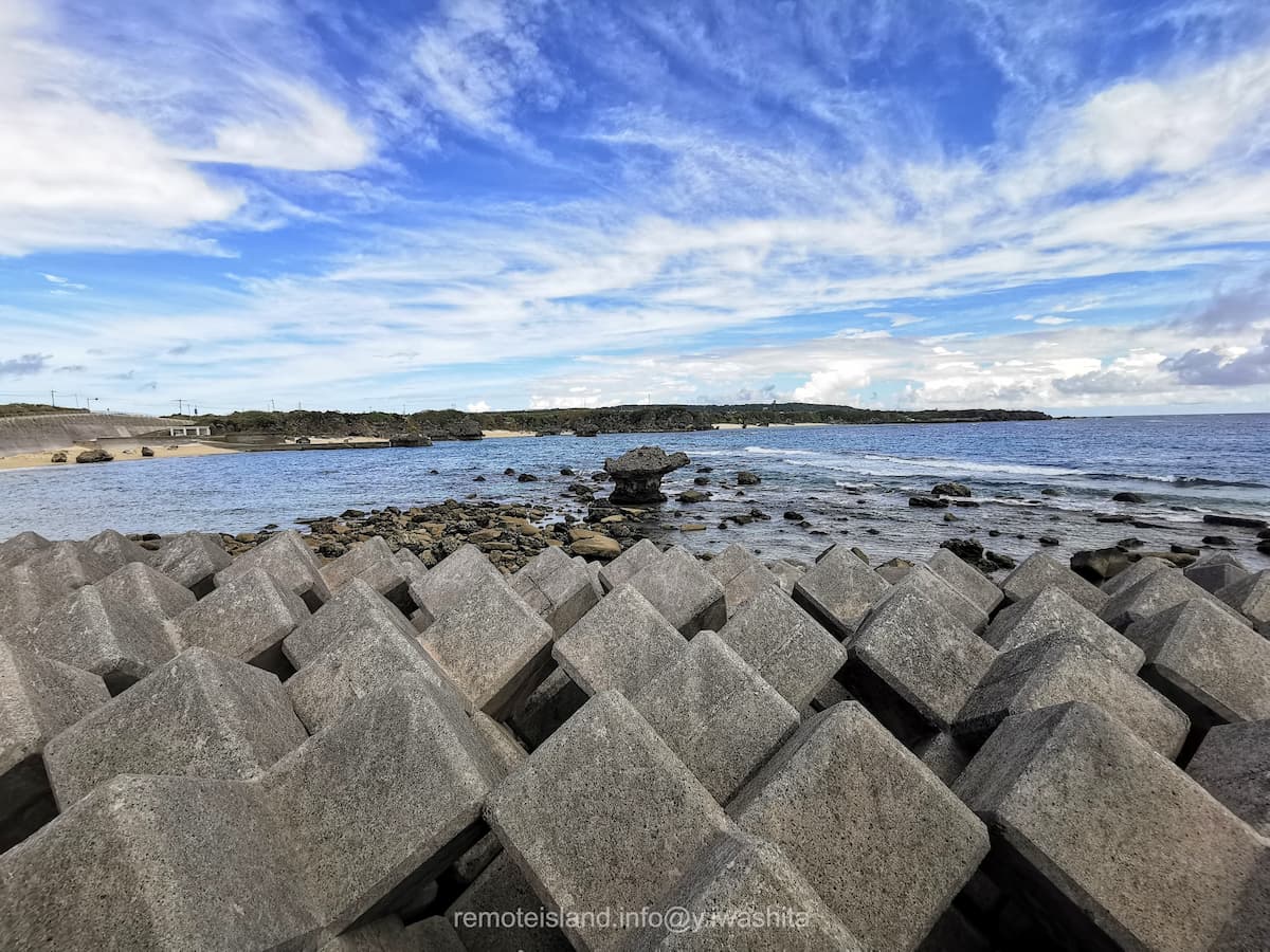 02ウェル亀.jpg 02ウェル亀