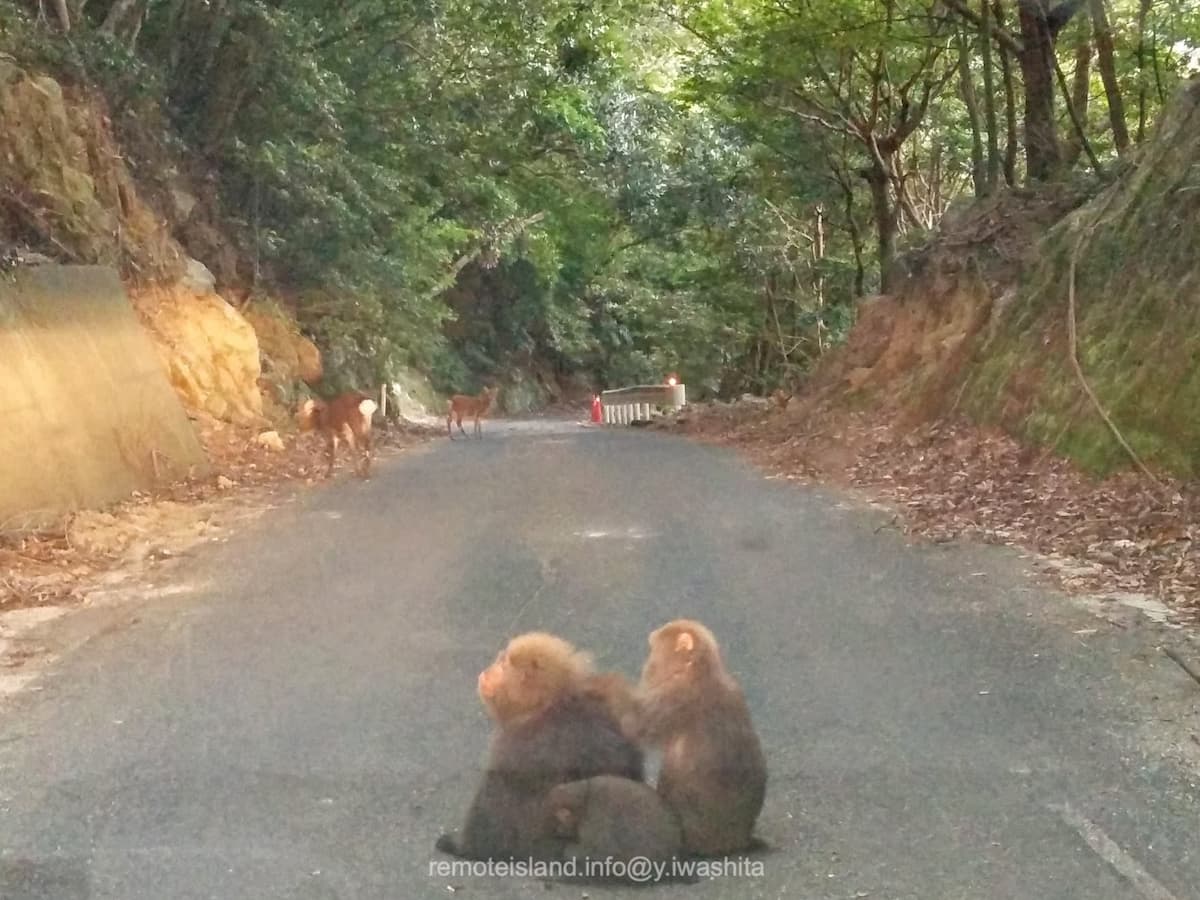 07西部林道.jpg 07西部林道