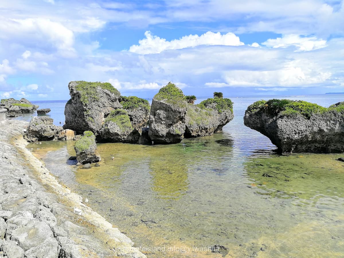 24ノッチ.jpg 24ノッチ