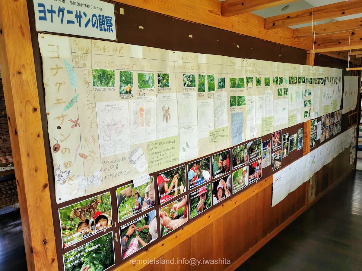 20パネル.jpg 20パネル