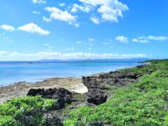 集落からのアクセス抜群 泳がなくても楽しめる仲本海岸【黒島】