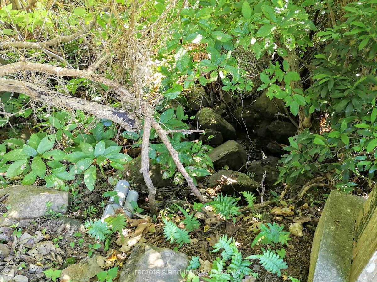 06クメジマボタル生息地.jpg 06クメジマボタル生息地