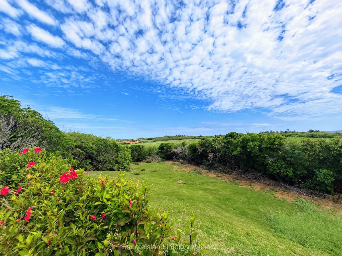 10歩道から.jpg 10歩道から