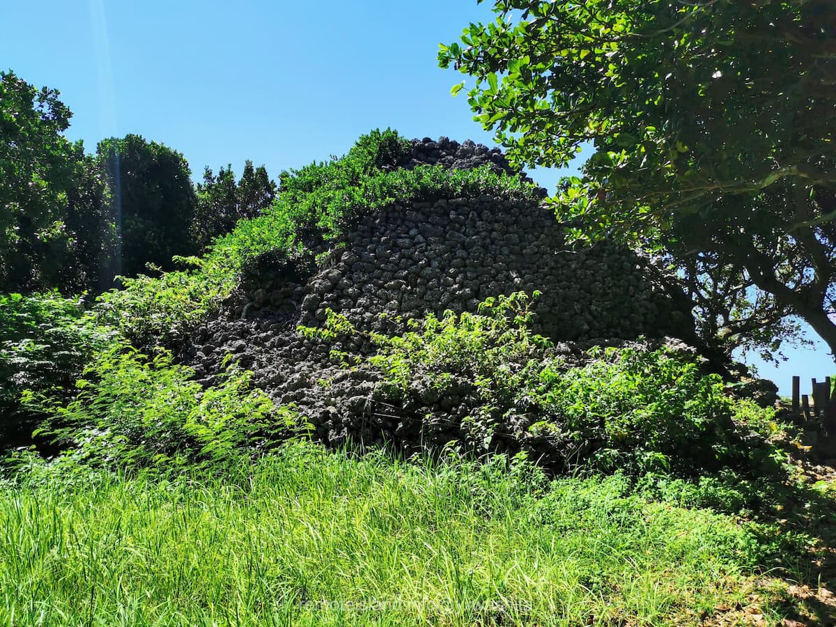 01プズマリ.jpg 01プズマリ