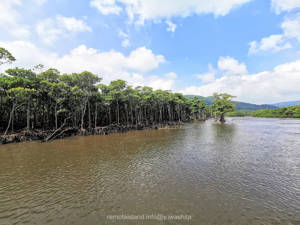 12仲間川.jpg 12仲間川