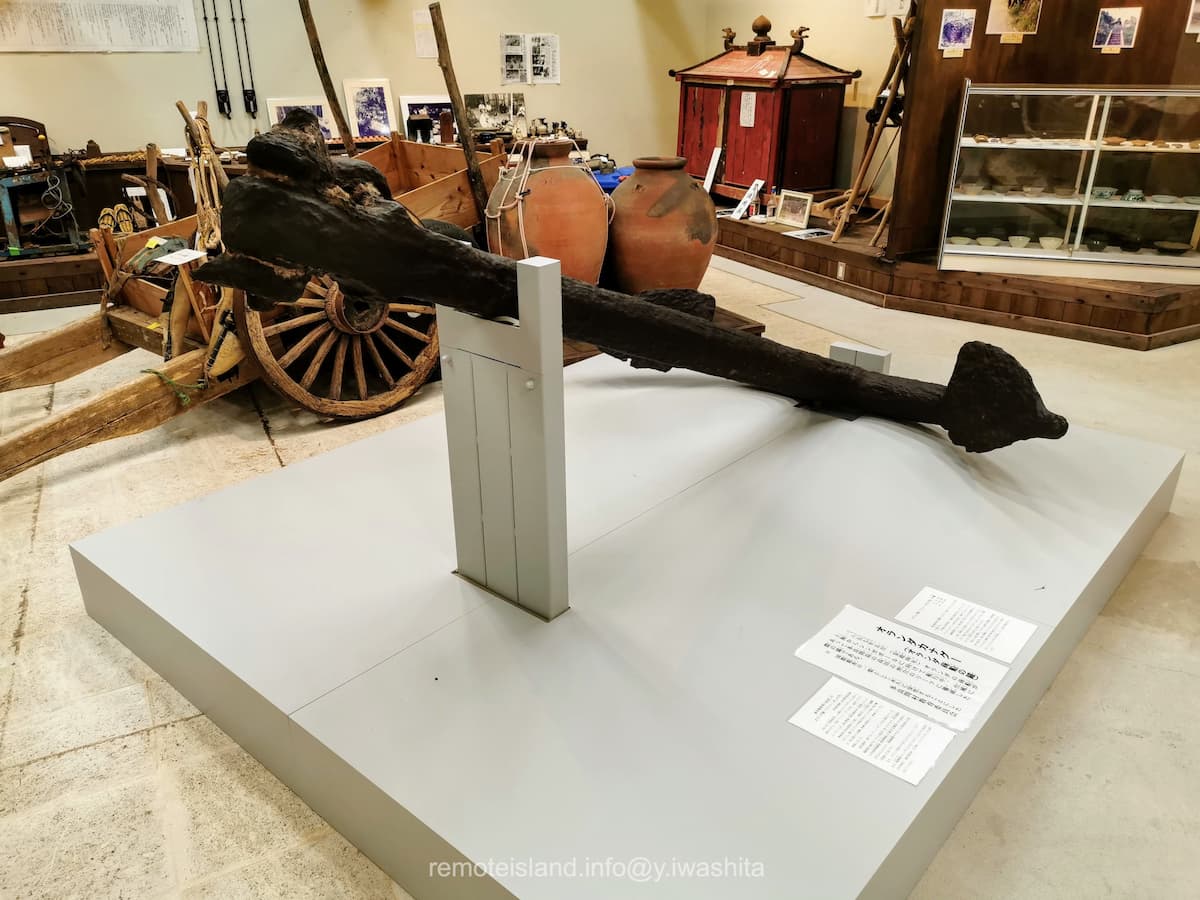 13オランダカナグー.jpg 13オランダカナグー