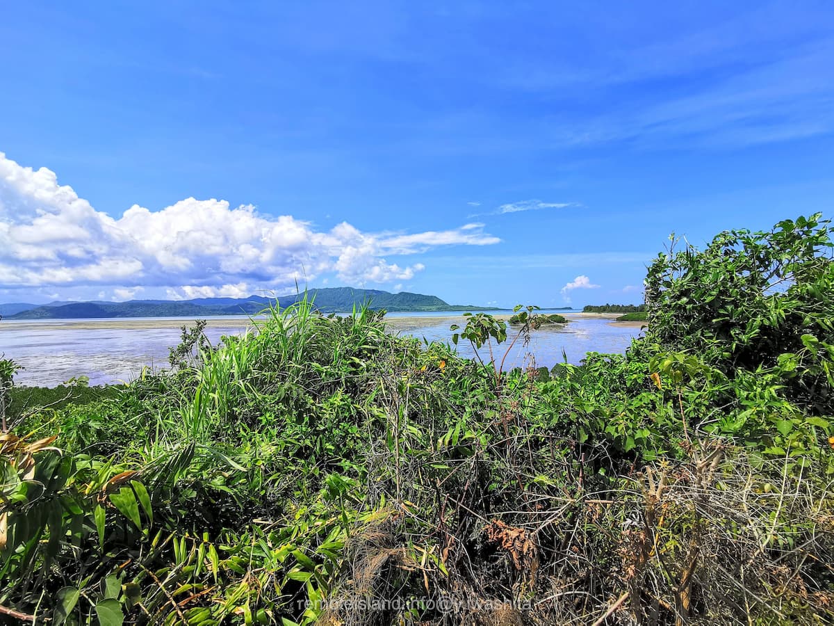 11カトレ展望台.jpg 11カトレ展望台