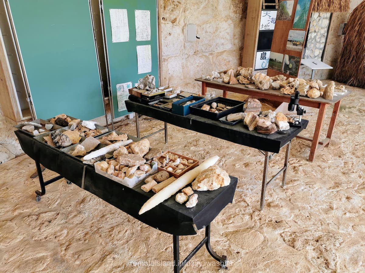 05館内.jpg 05館内