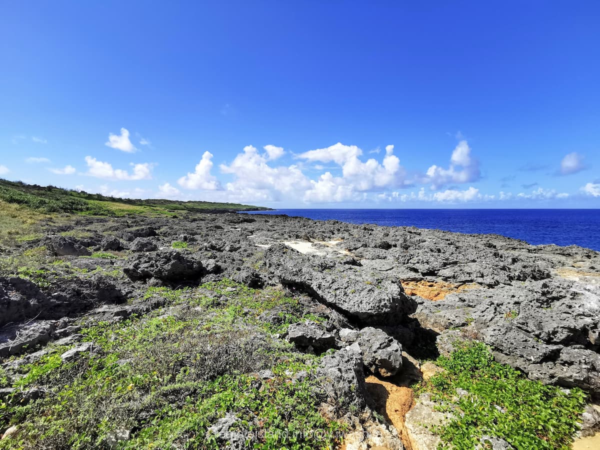 14ボロジノパーク.jpg 14ボロジノパーク