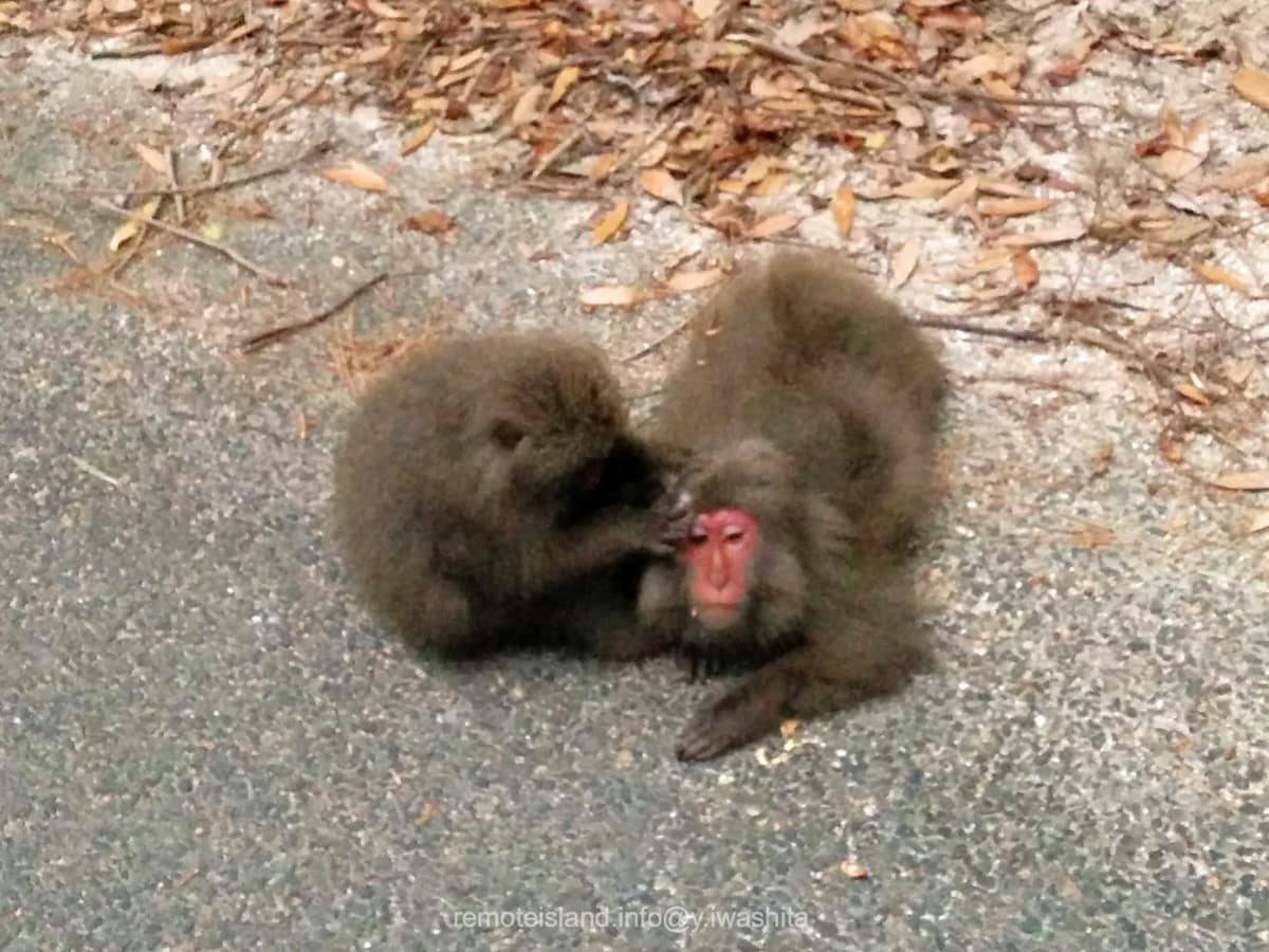 08西部林道.jpg 08西部林道