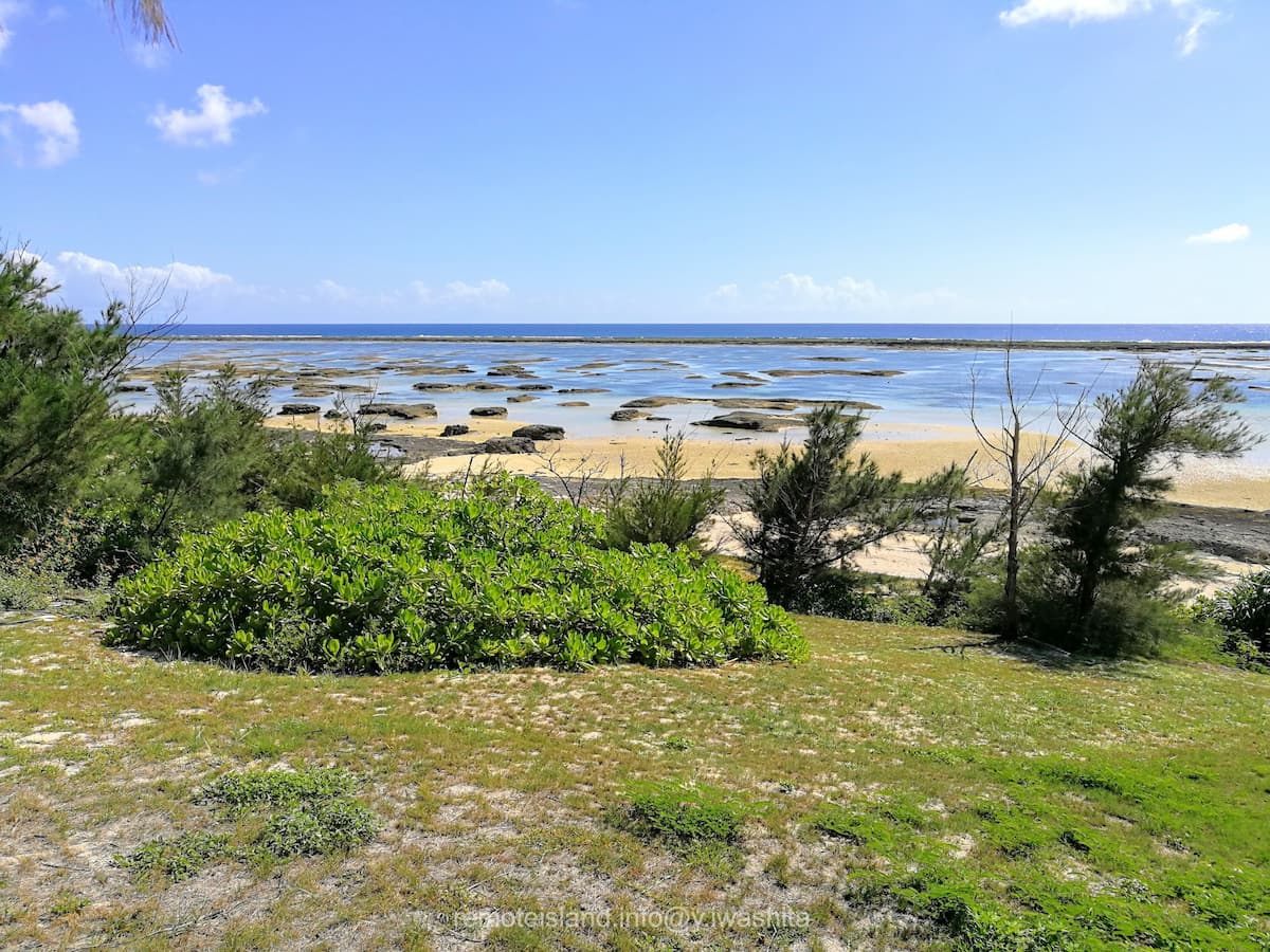 01シンリ浜海浜公園
