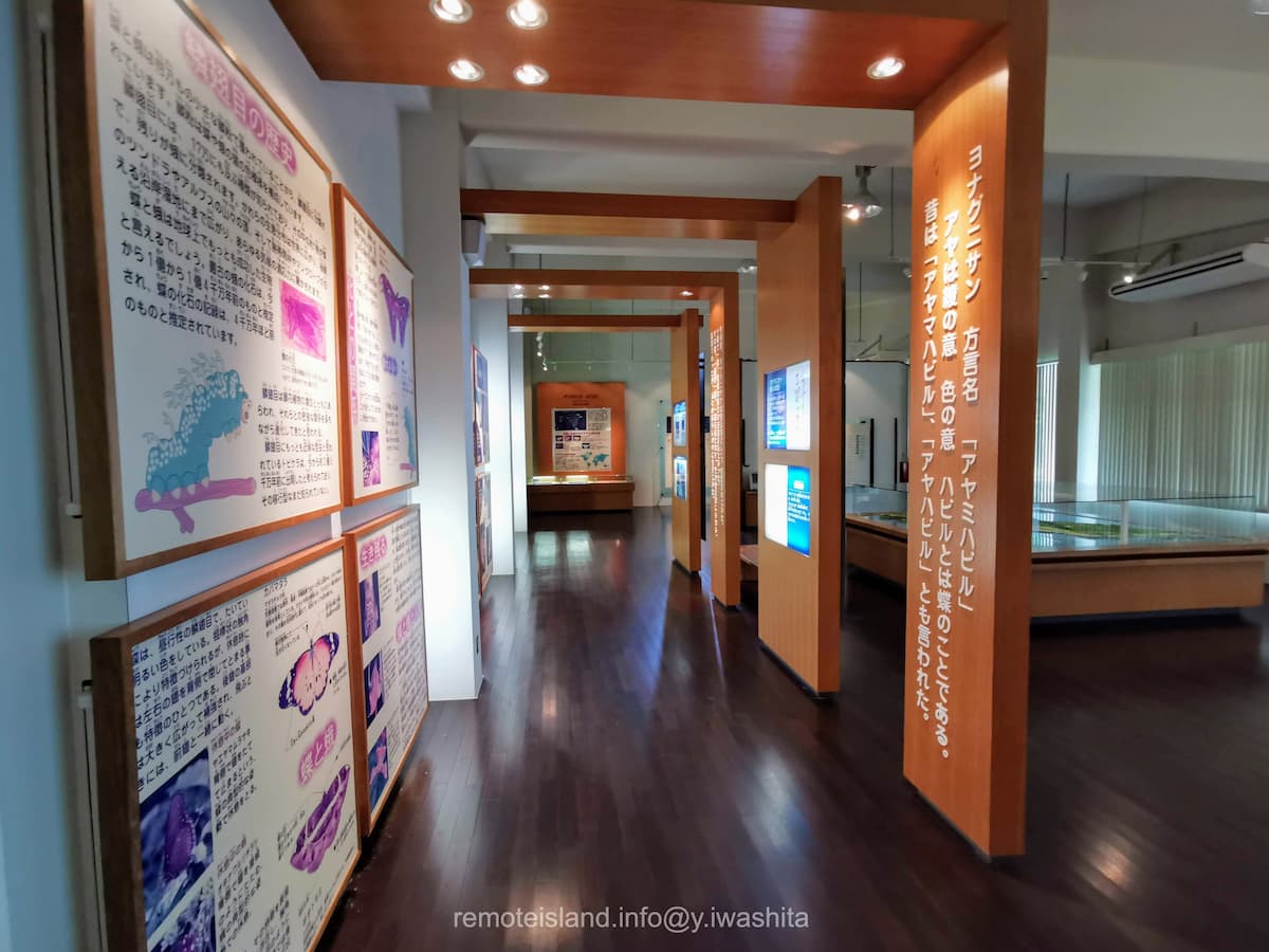 03館内.jpg 03館内