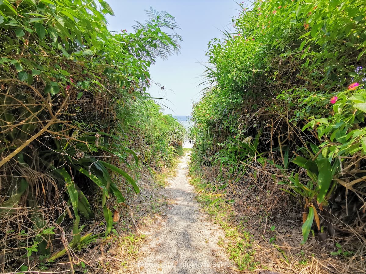 06用海岸.jpg 06用海岸