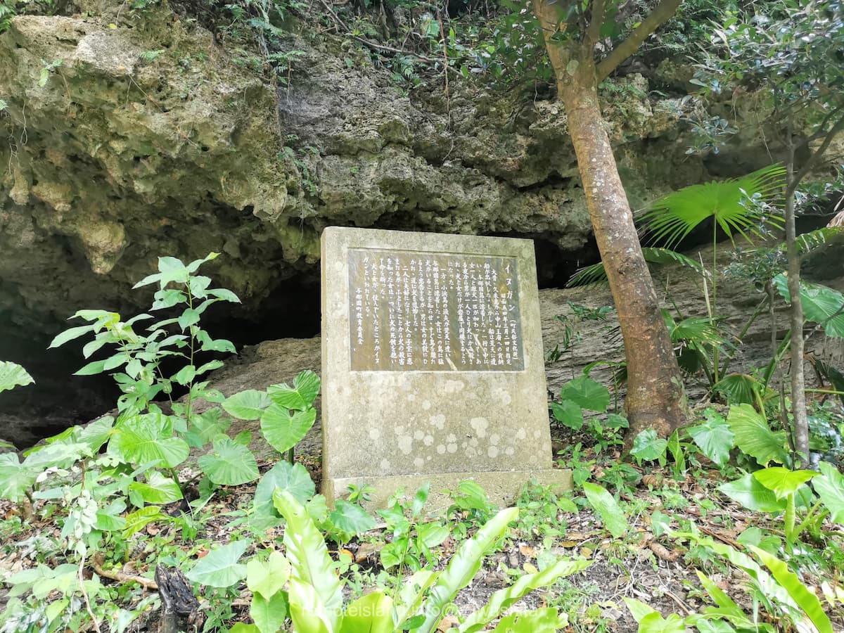 09イヌガン.jpg 09イヌガン