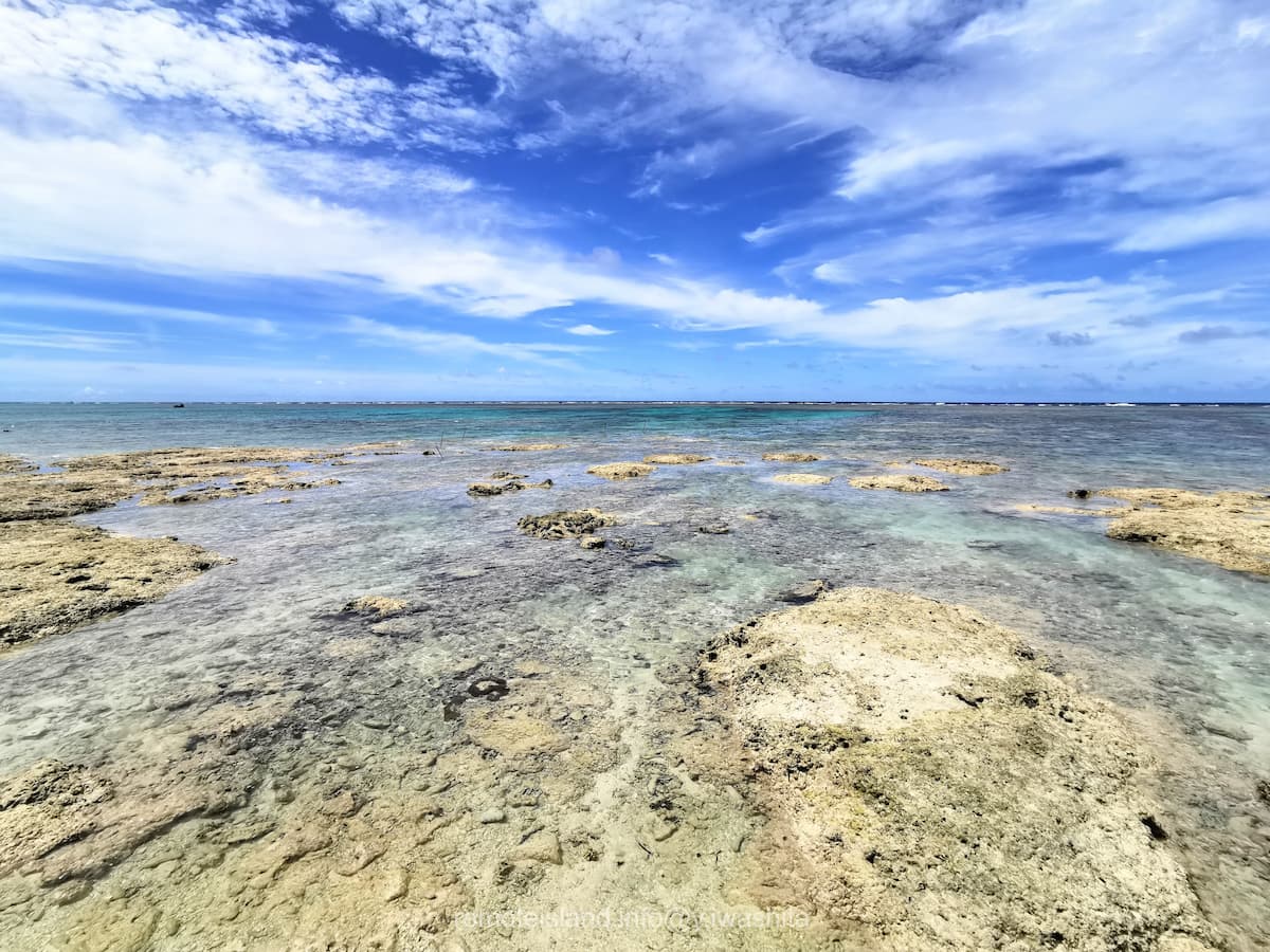 07マガリ゜.jpg 07マガリ゜