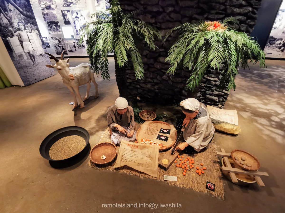 05奄美の郷.jpg 05奄美の郷