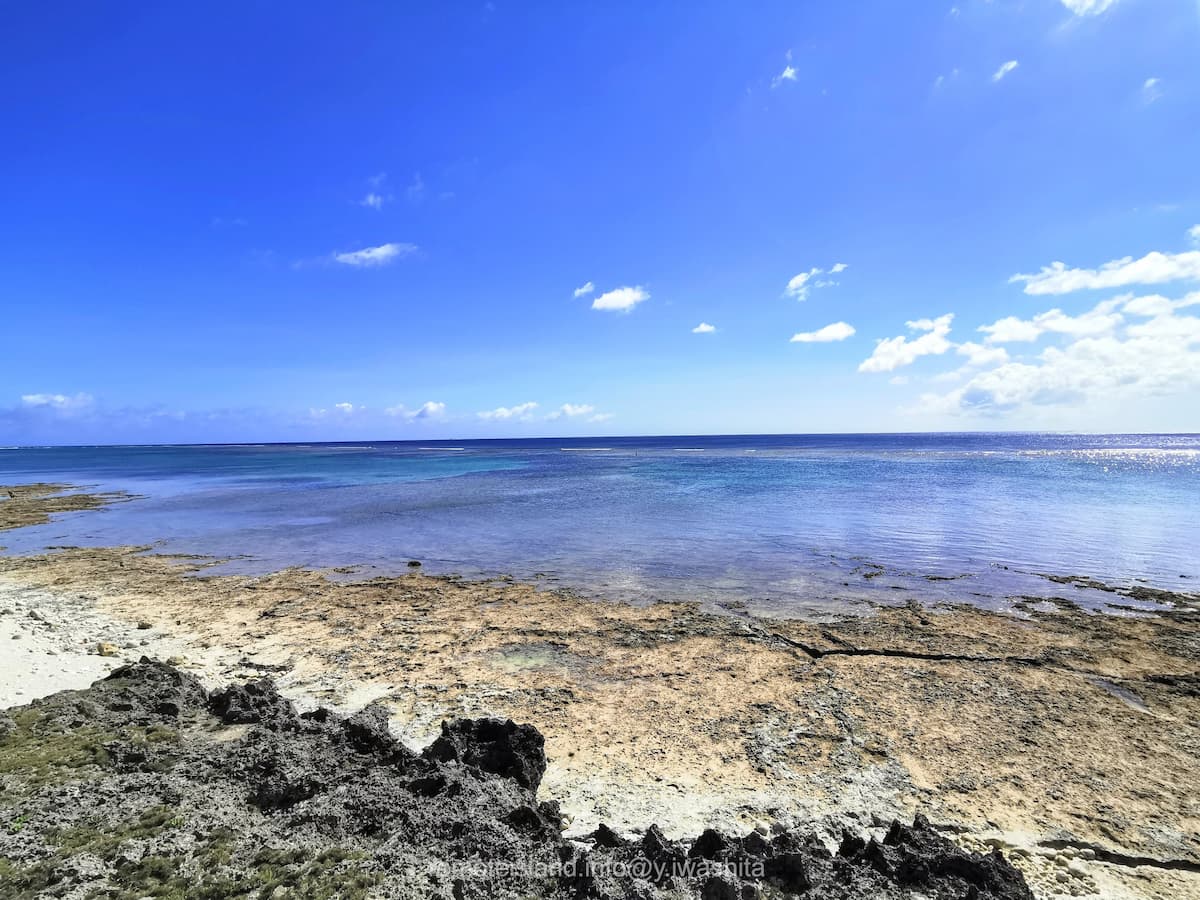 09仲本海岸.jpg 09仲本海岸