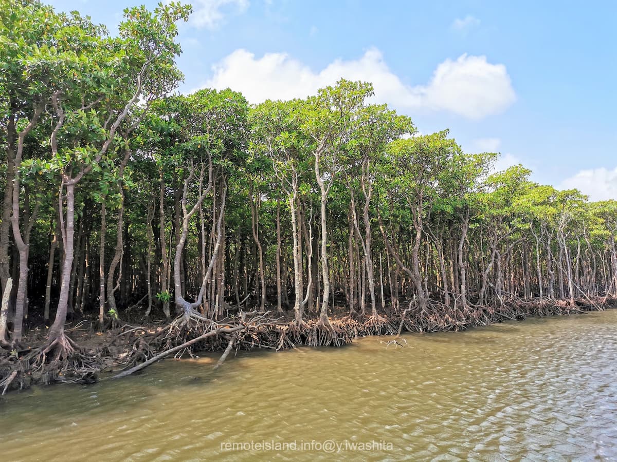 13仲間川.jpg 13仲間川