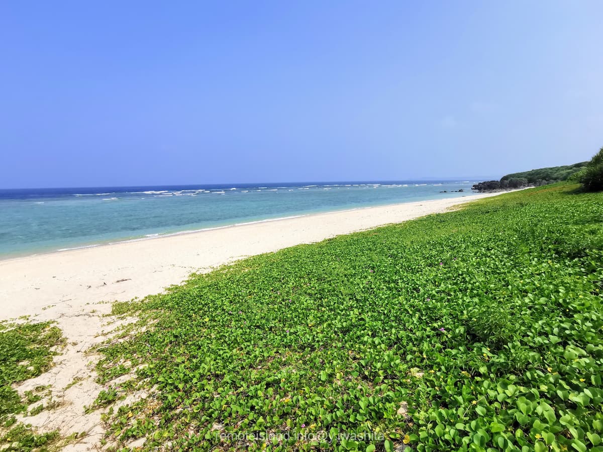 08用海岸.jpg 08用海岸