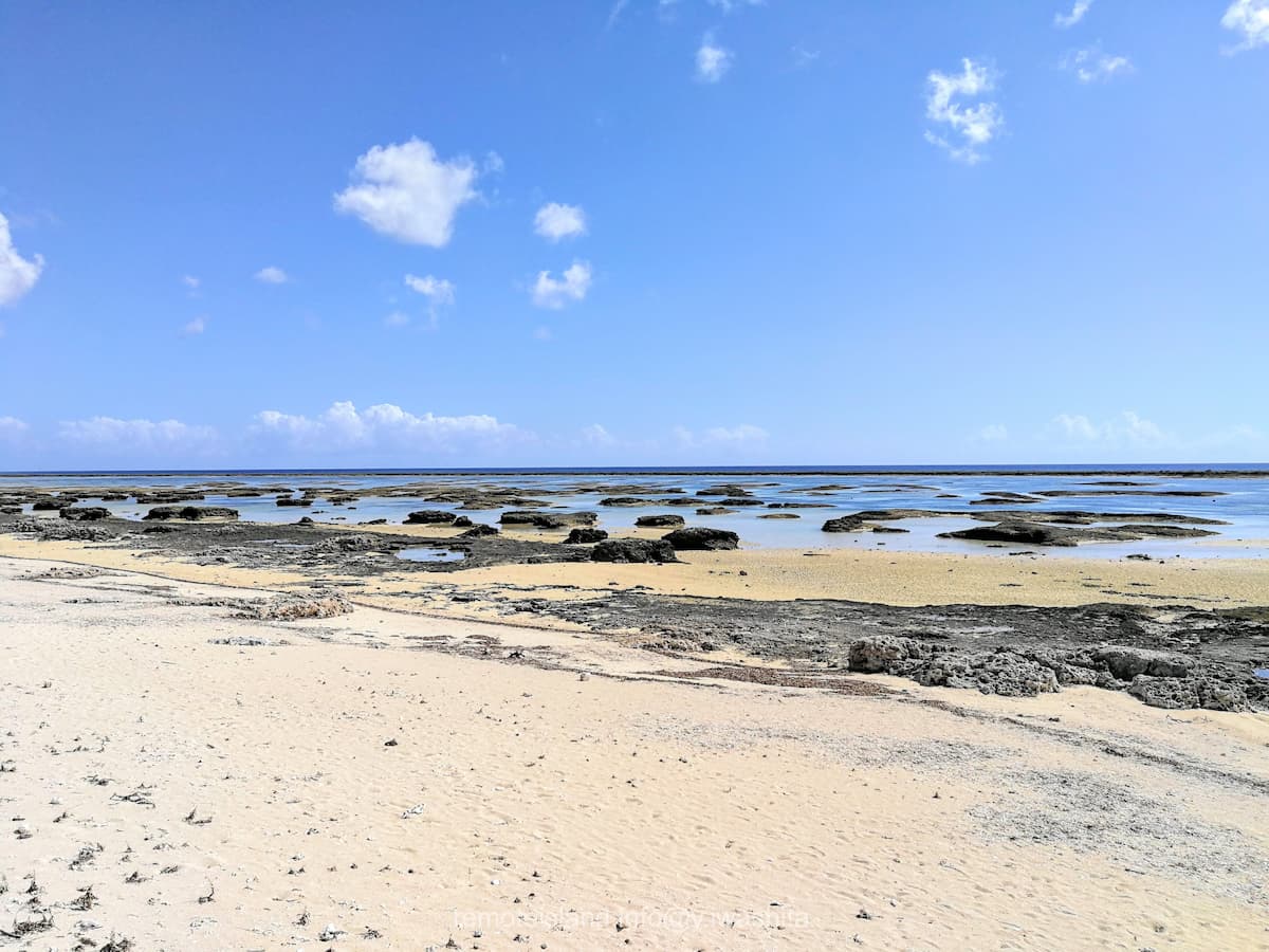 02シンリ浜海浜公園