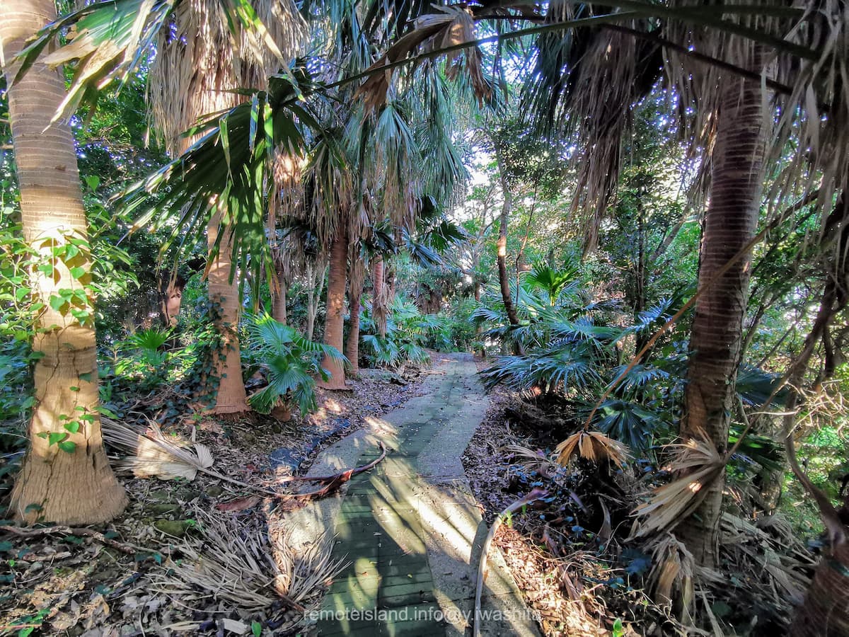 05参道.jpg 05参道