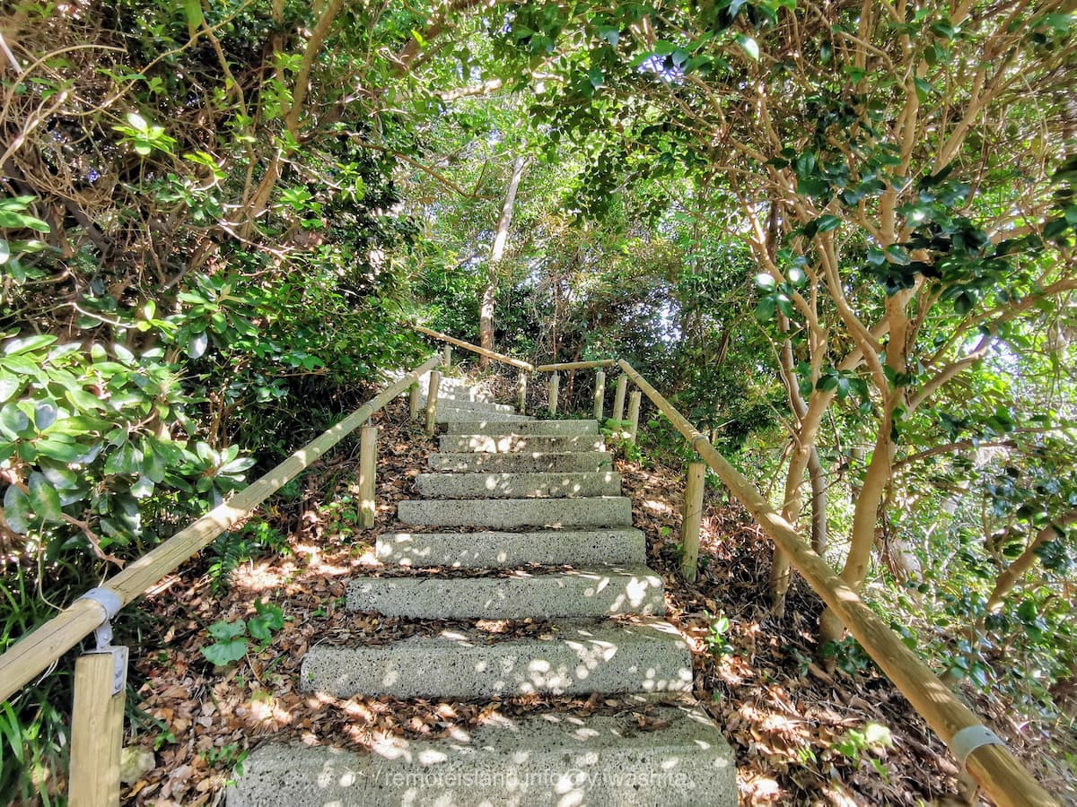 11遊歩道.jpg 11遊歩道