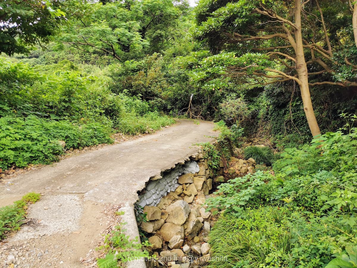 02亀河原椿林への道.jpg 02亀河原椿林への道
