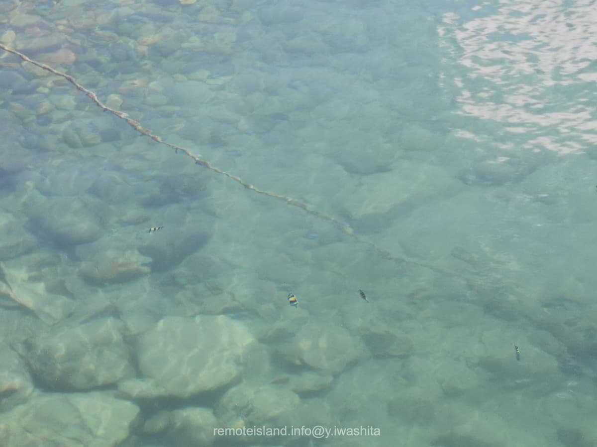 06堤海水浴場.jpg 06堤海水浴場