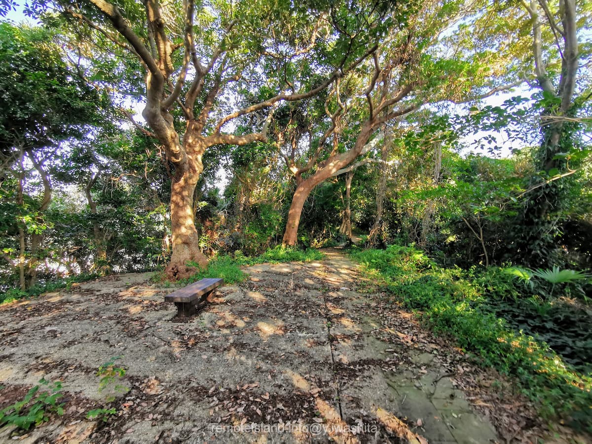 12遊歩道.jpg 12遊歩道