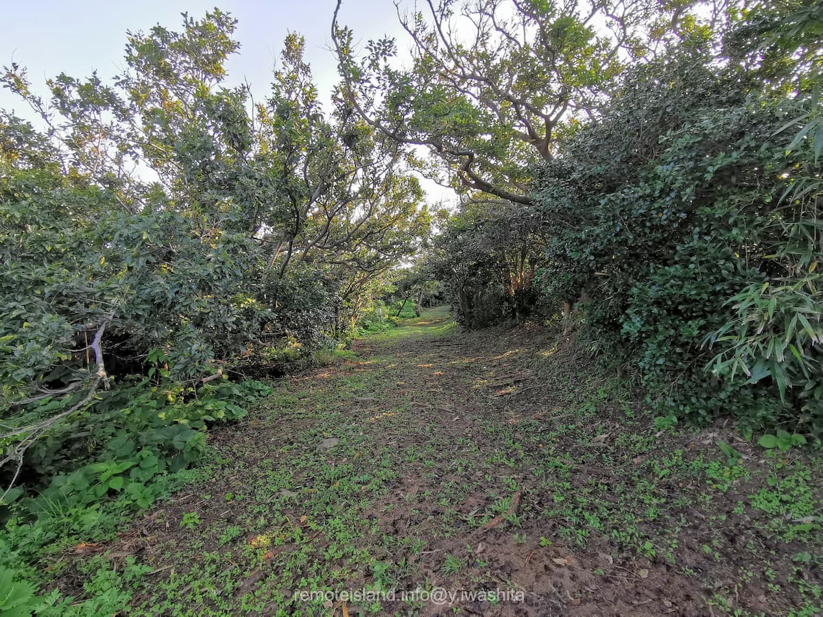 09木啄路殿崎コース.jpg 09木啄路殿崎コース