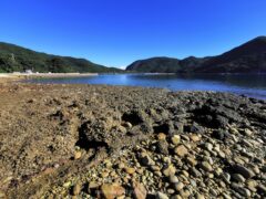 島の端っこにある池塚のビーチロック 不思議な石や砂の集合体【奈留島】