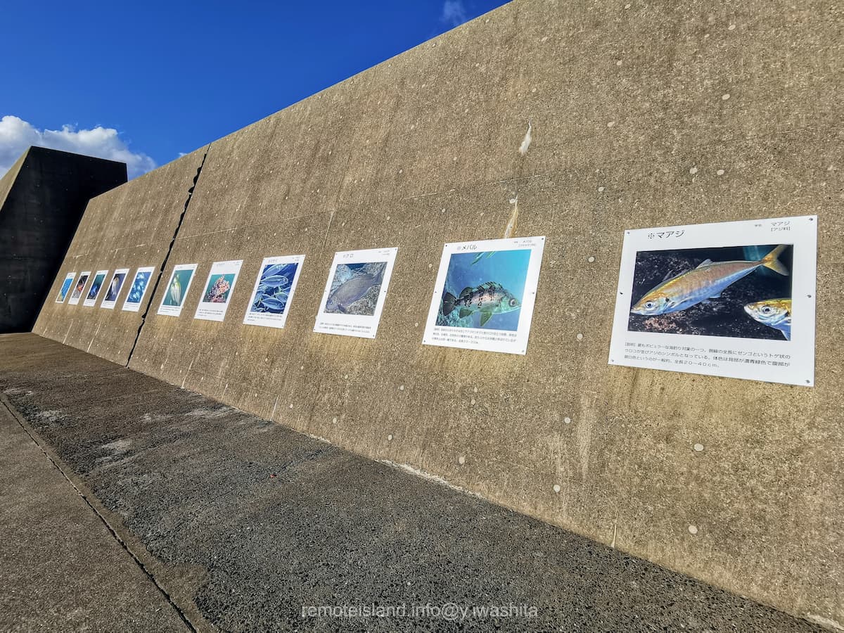 01防波堤.jpg 01防波堤