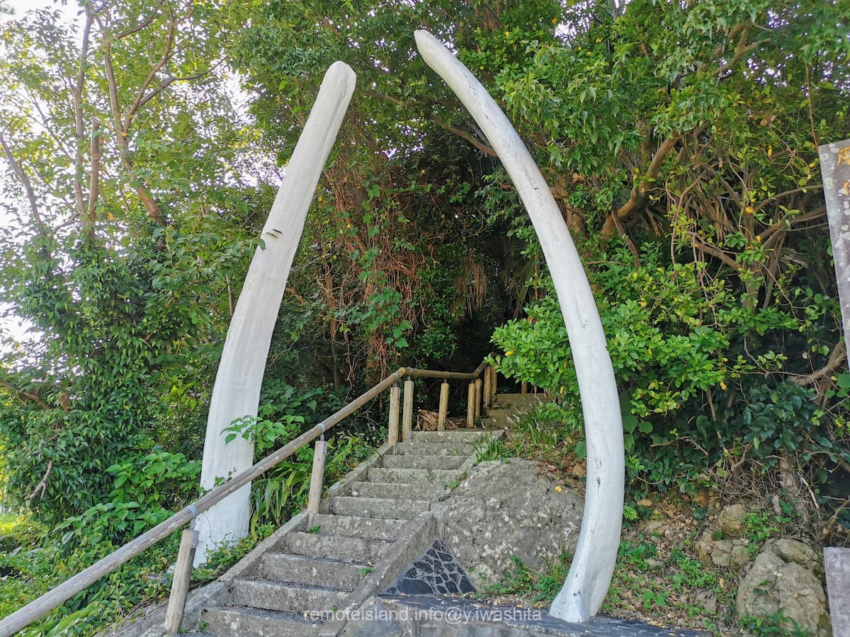 03参道.jpg 03参道