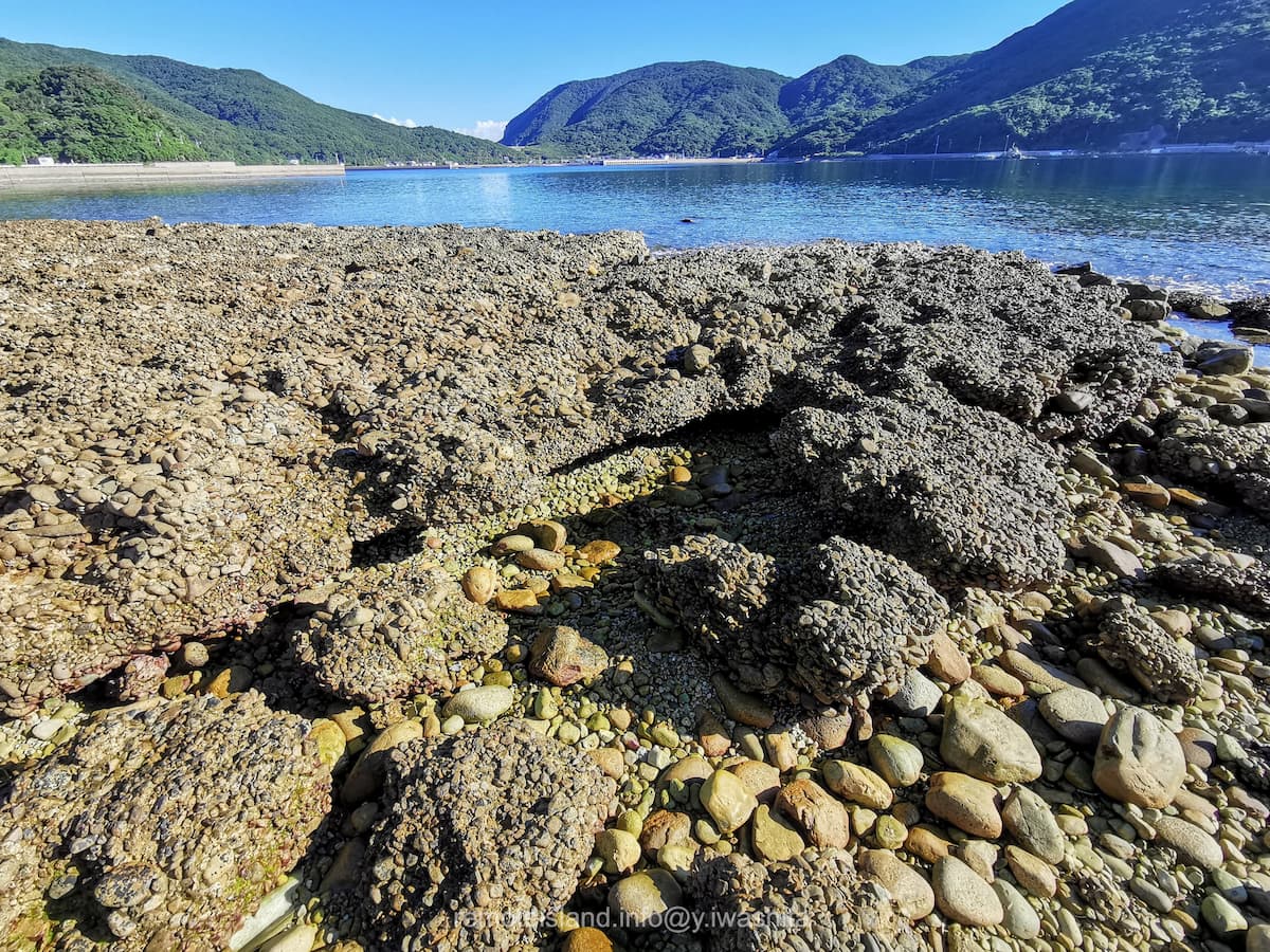 05池塚のビーチロック.jpg 05池塚のビーチロック