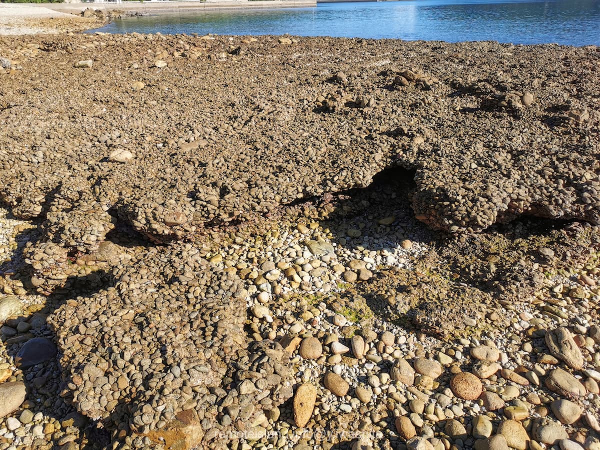 06池塚のビーチロック.jpg 06池塚のビーチロック