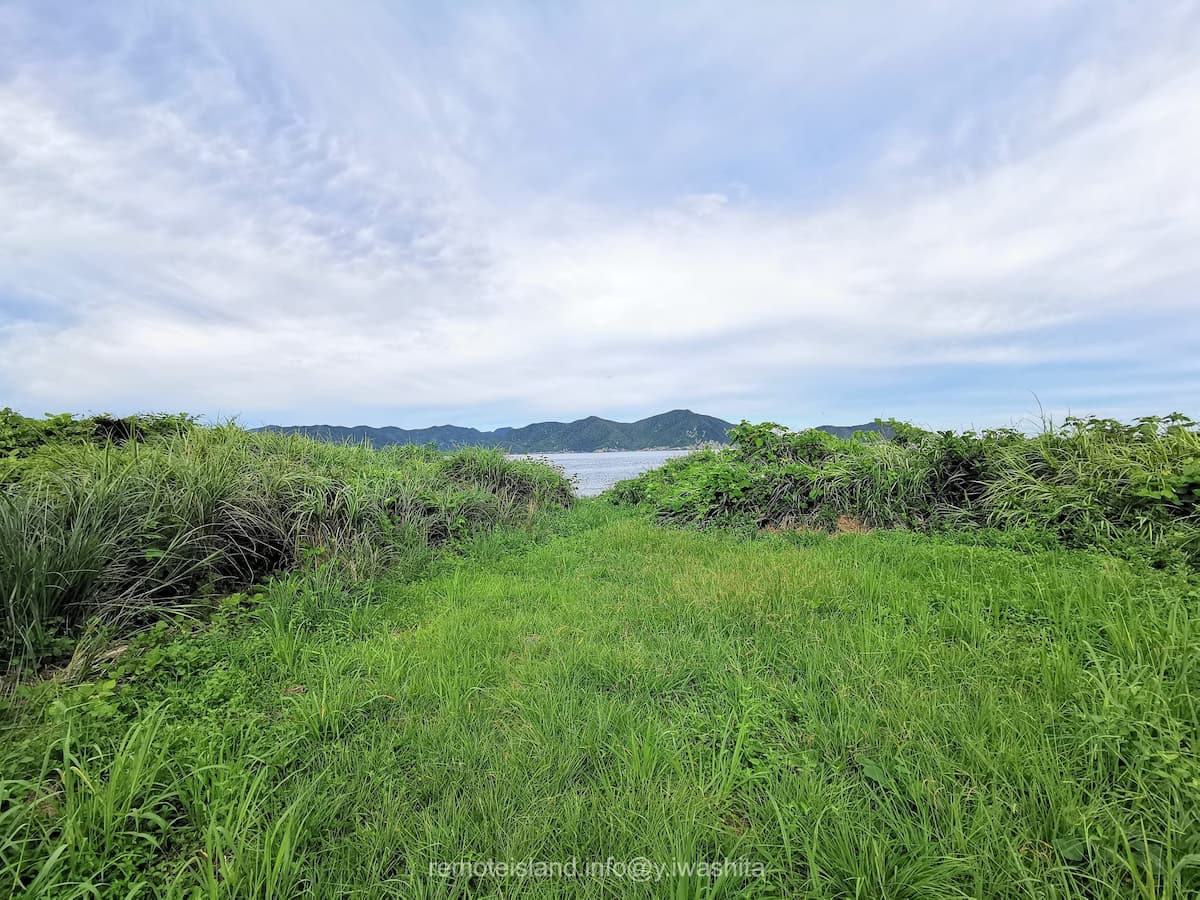 16海岸へ.jpg 16海岸へ