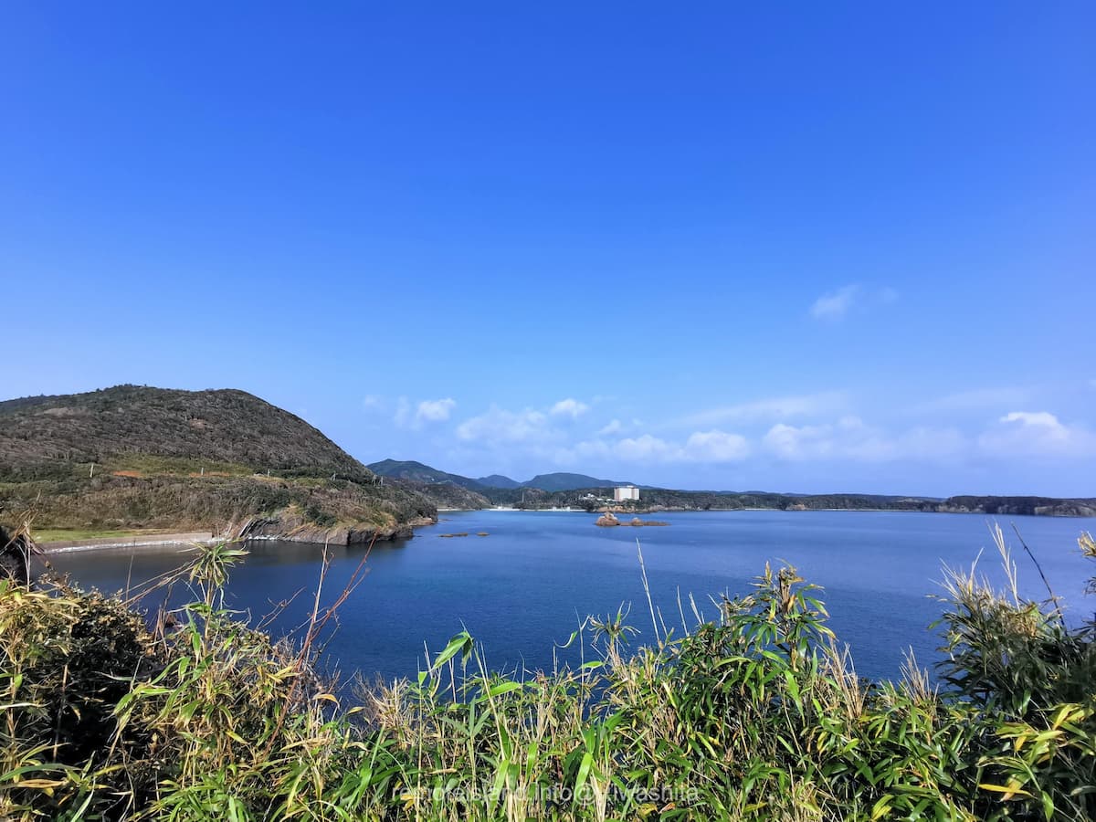 11コースから.jpg 11コースから