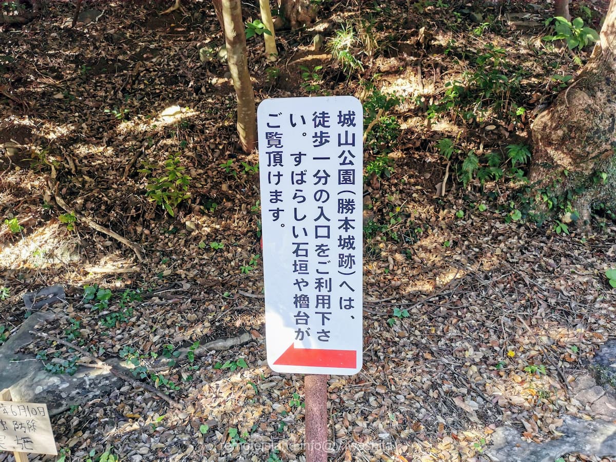 02案内.jpg 02案内