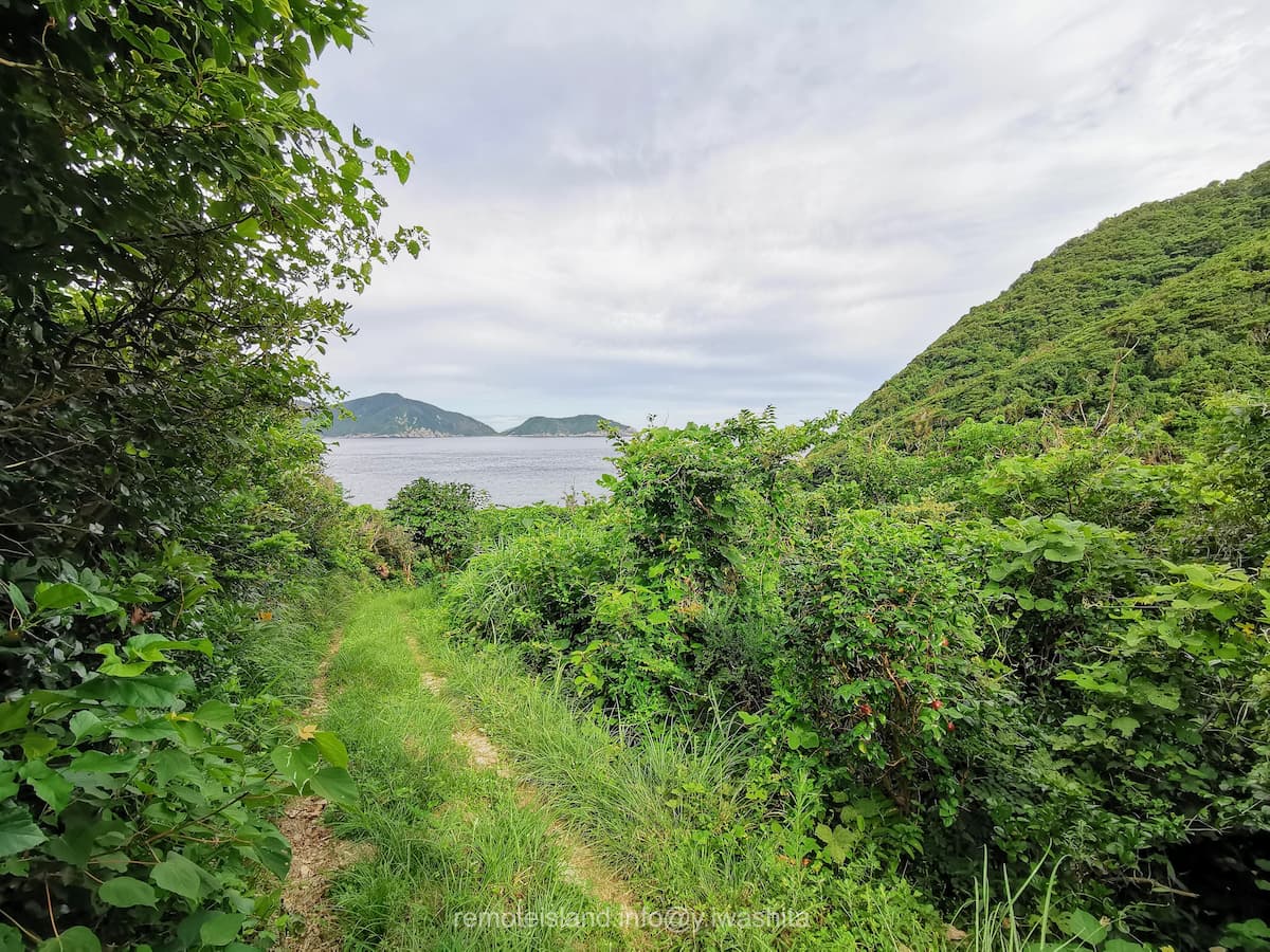 15海岸へ.jpg 15海岸へ