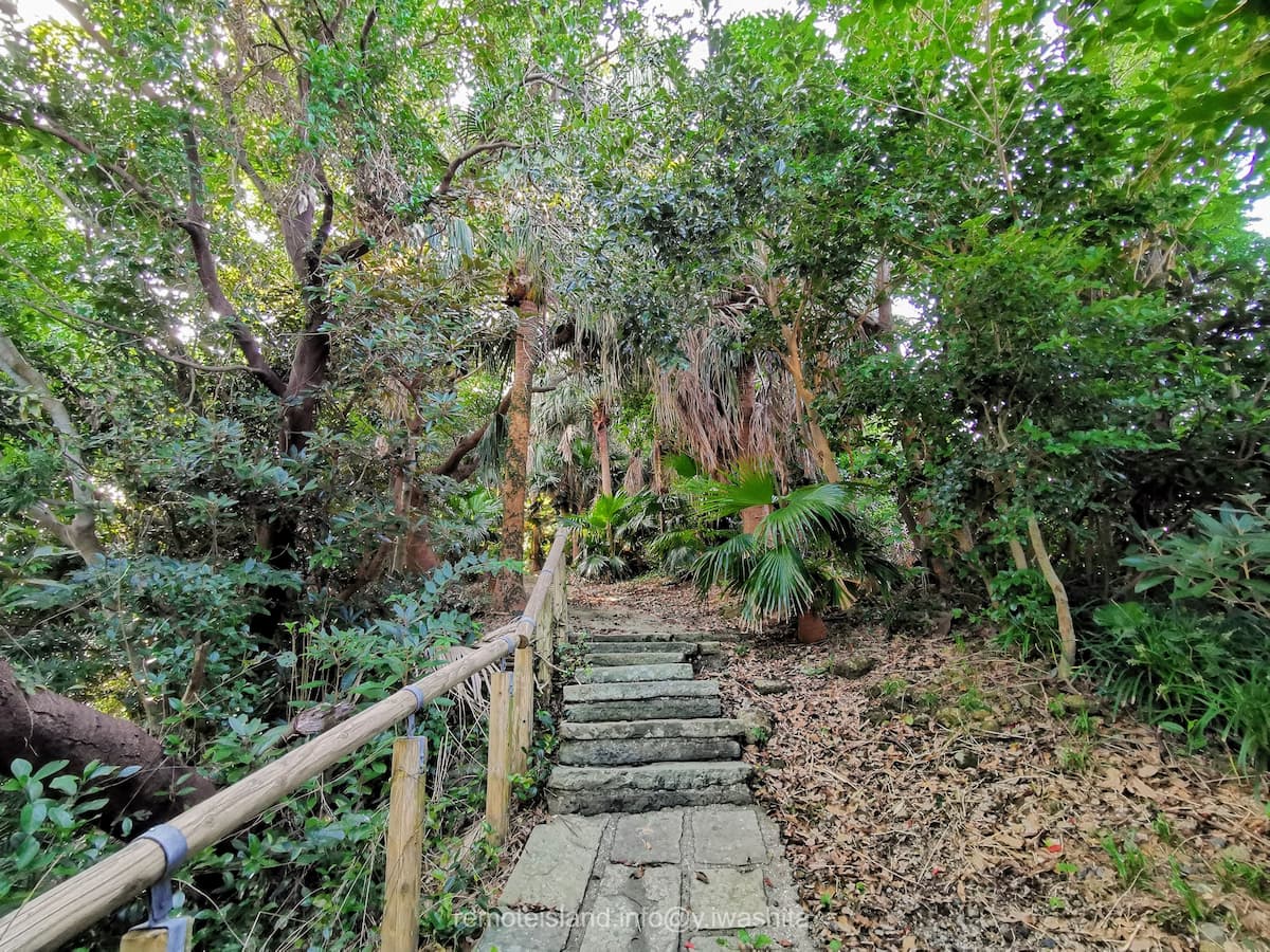 04参道.jpg 04参道