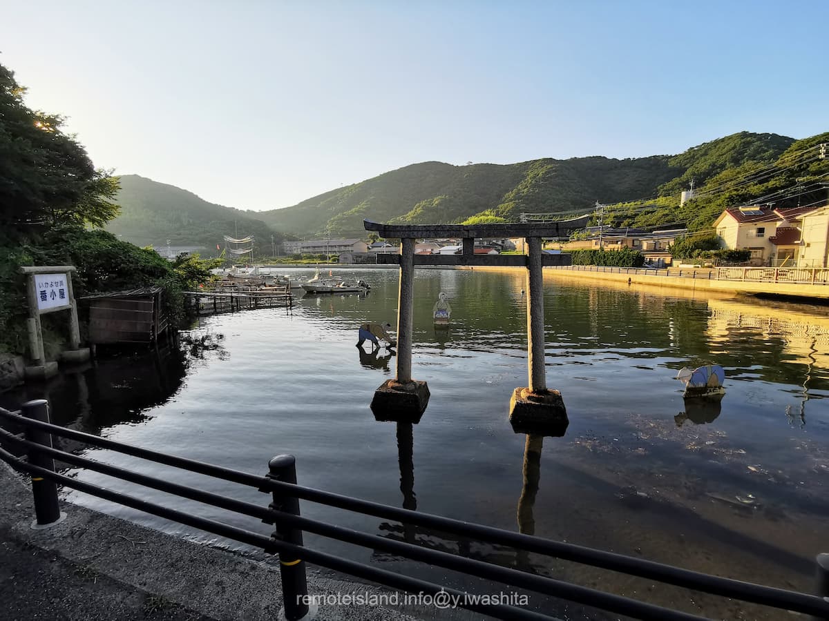 07イカ寄せの浜.jpg 07イカ寄せの浜