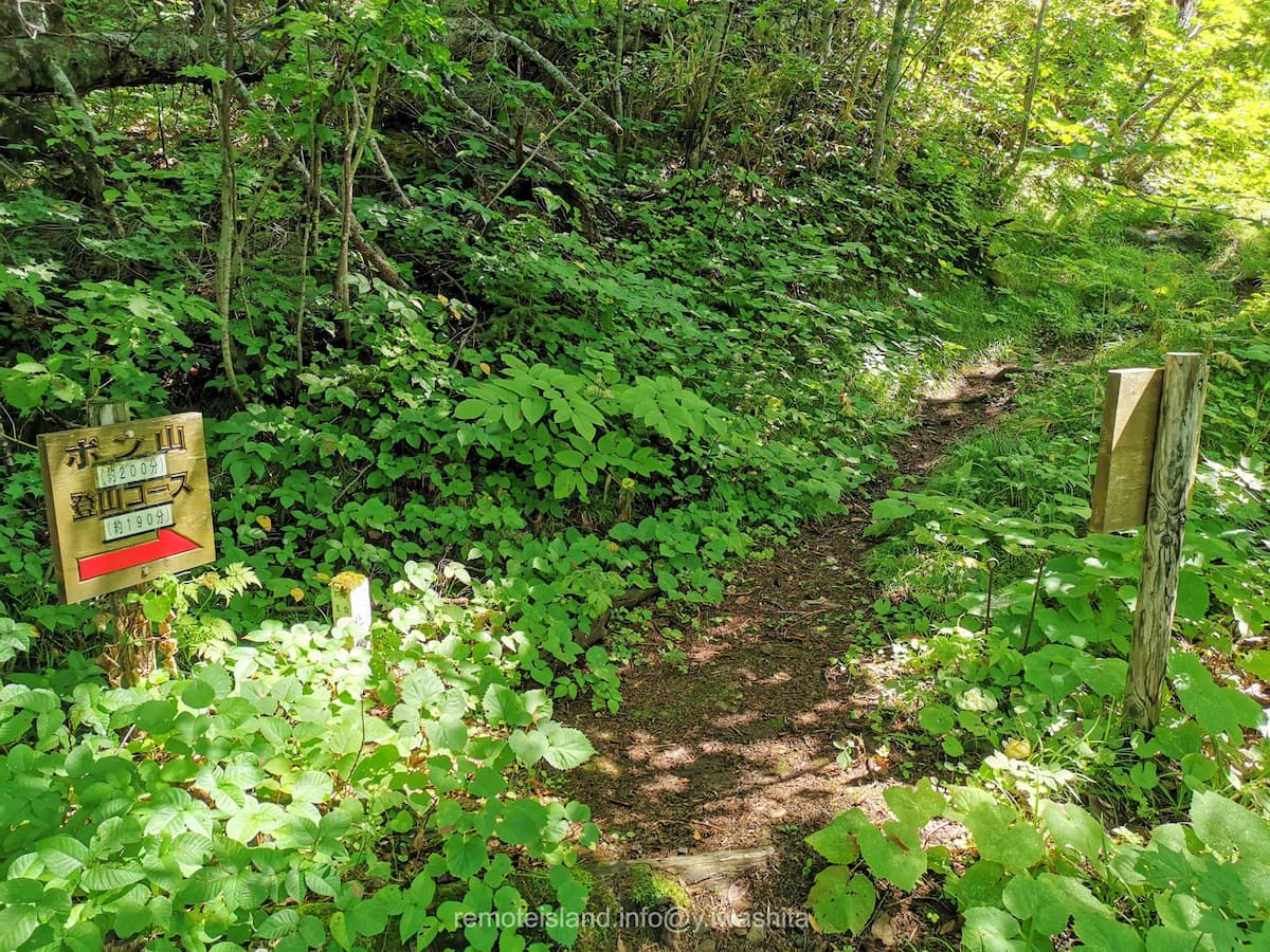 12登山コース.jpg 12登山コース