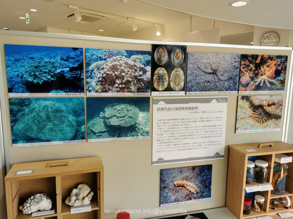 31硫黄列島.jpg 31硫黄列島