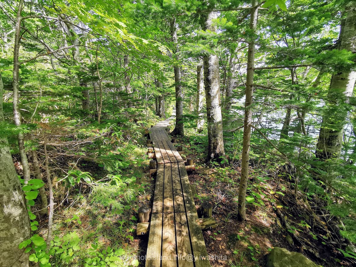 16遊歩道.jpg 16遊歩道