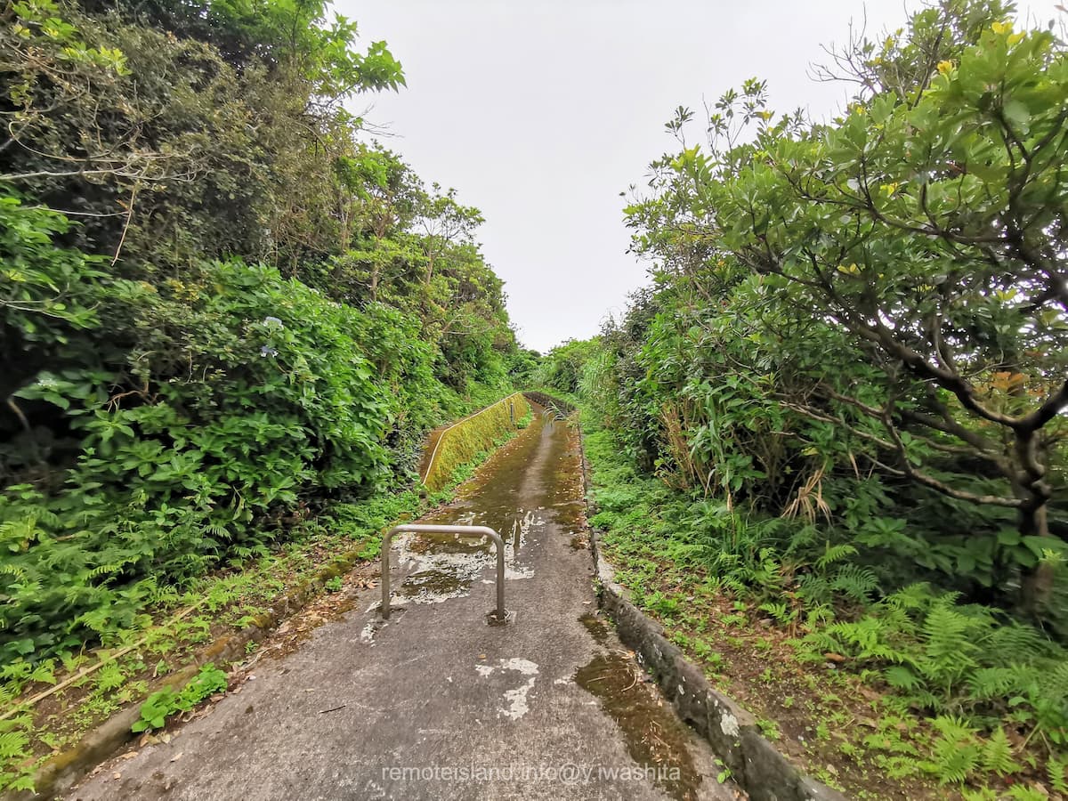 01歩道入口.jpg 01歩道入口