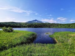沼の後ろに利尻富士！沼浦湿原にあるオタトマリ沼【北海道 利尻島 観光】