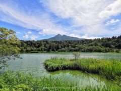 湖面の向こうに利尻富士！遊歩道もある姫沼【北海道 利尻島 観光】